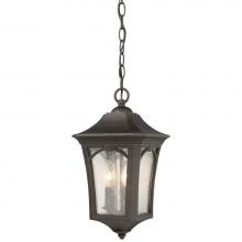 The Great Outdoors 71214-143C - Chain Hung Lantern