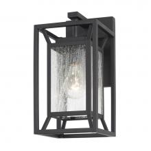 The Great Outdoors 71260-66 - 1 Light Outdoor Wall Mount