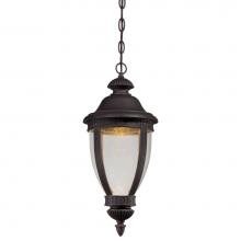 The Great Outdoors 72414-51A-L - 1 Light Outdoor Led Chain Hung