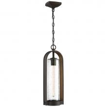 The Great Outdoors 72454-143C - 1 Light Chain Hung Lantern