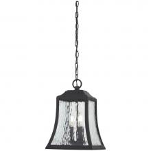 The Great Outdoors 72464-66 - 4 Light Outdoor Chain Hung Lantern