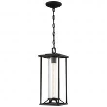 The Great Outdoors 72474-66 - 1 Light Chain Hung Lantern