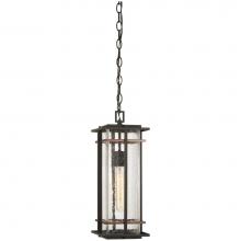 The Great Outdoors 72494-68 - 1 Light Outdoor Chain Hung Lantern