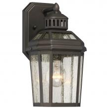 The Great Outdoors 72531-143 - 1 Light Outdoor Wall Light