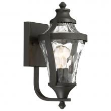 The Great Outdoors 72561-66 - 1 Light Outdoor Wall Lamp