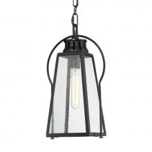 The Great Outdoors 72704-66A - 1 Light Outdoor Chain Hung