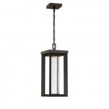 The Great Outdoors 72794-143-L - 1 Light Led Chain Hung