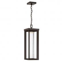 The Great Outdoors 72797-143-L - 1 Light Led Chain Hung