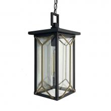 The Great Outdoors 72804-727 - 1 Light Chain Hung