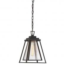 The Great Outdoors 73114-226 - 1 Light Chain Hung