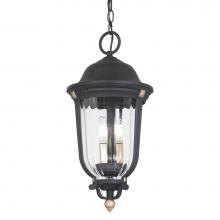 The Great Outdoors 73236-738 - 3 Light Outdoor Chain Hung
