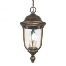 The Great Outdoors 73246-748 - 3 Light Outdoor Chain Hung