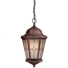The Great Outdoors 8214-A61-PL - 1 Light Chain Hung