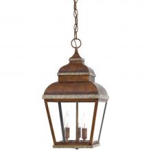 The Great Outdoors 8264-161 - 3 Light Chain Hung