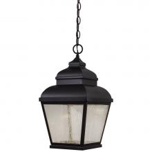 The Great Outdoors 8264-66-L - 1 Light Outdoor Led Chain Hung