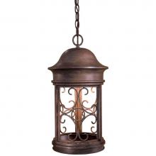 The Great Outdoors 8284-A61 - 1 Light Chain Hung