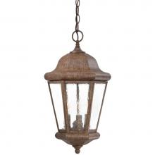The Great Outdoors 8614-A61 - 3 Light Chain Hung