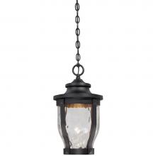 The Great Outdoors 8764-66-L - 1 Light Outdoor Led Chain Hung