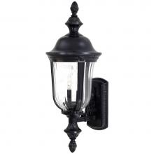 The Great Outdoors 8841-94 - 2 Light Wall Mount