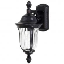 The Great Outdoors 8847-94 - 1 Light Wall Mount