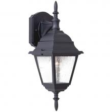 The Great Outdoors 9067-66 - 1 Light Wall Mount
