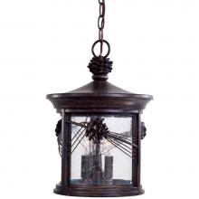 The Great Outdoors 9154-A357 - 3 Light Outdoor Chain Hung