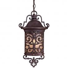 The Great Outdoors 9194-189-PL - 1 Light Chain Hung