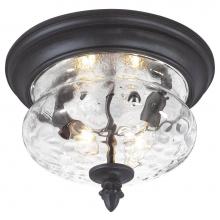 The Great Outdoors 9909-1-66 - 2 Light Flush Mount