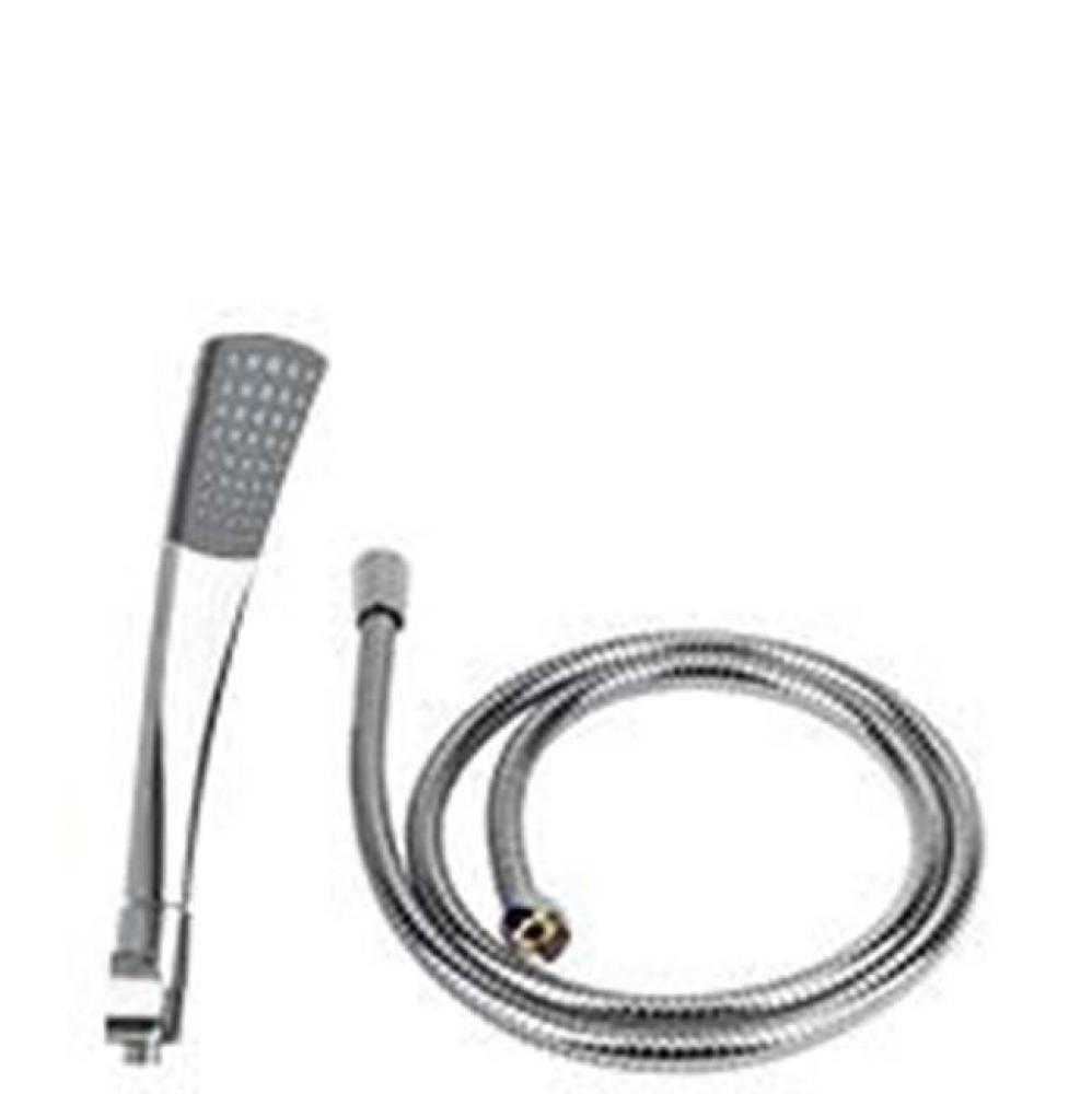 Leyden Handshower and Hose