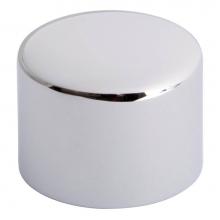 Speakman RPG11-118158 - MANUAL OVERRIDE BUTTON COVER REPLACEMENT KIT FOR FLUSHOMETERS