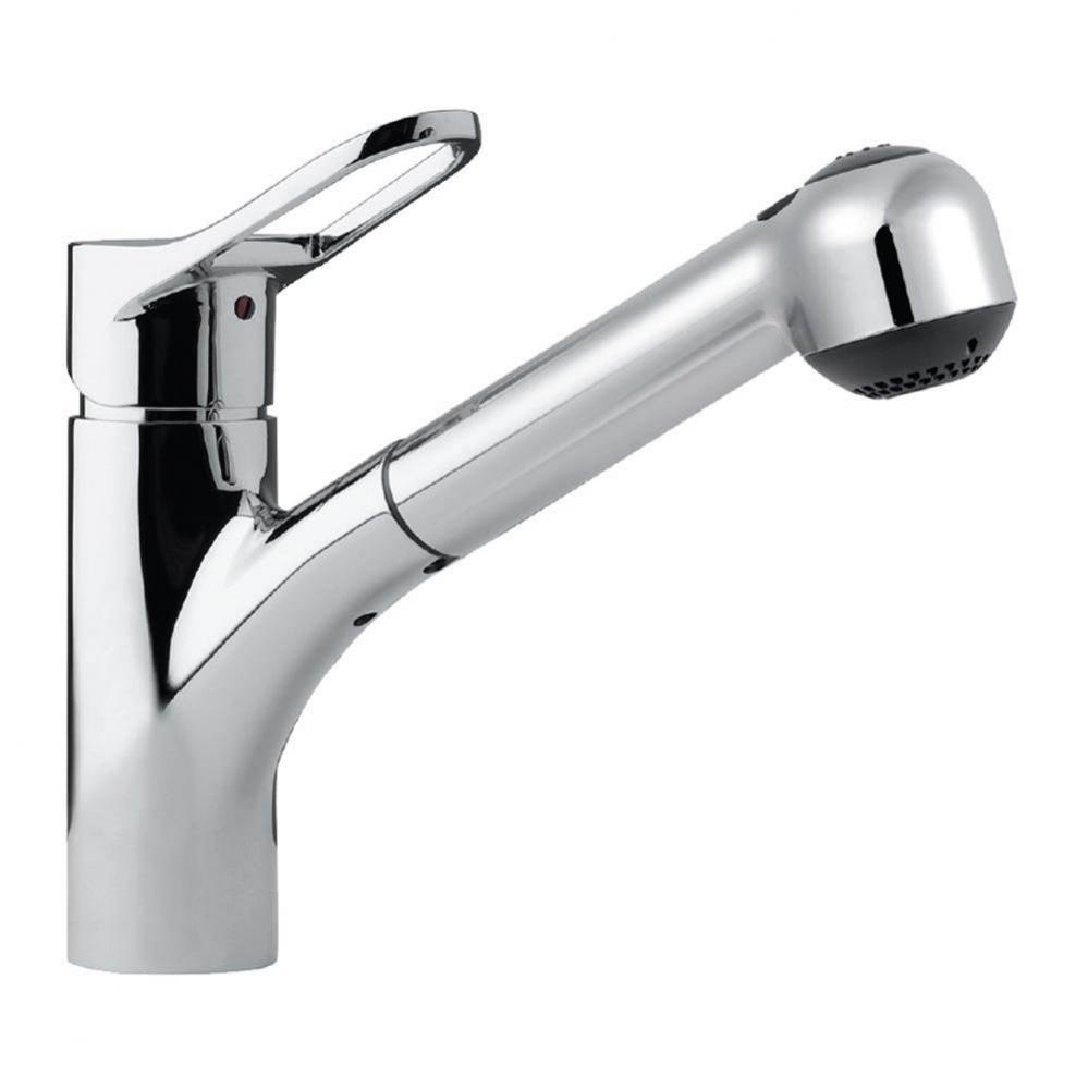 Dual Function Pull Out Kitchen Faucet in Polished Chrome