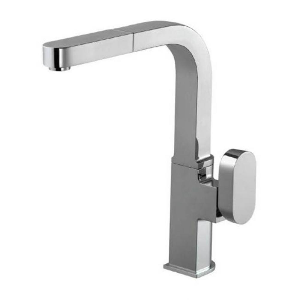 Single Function Pull Out Kitchen Faucet in Polished Chrome