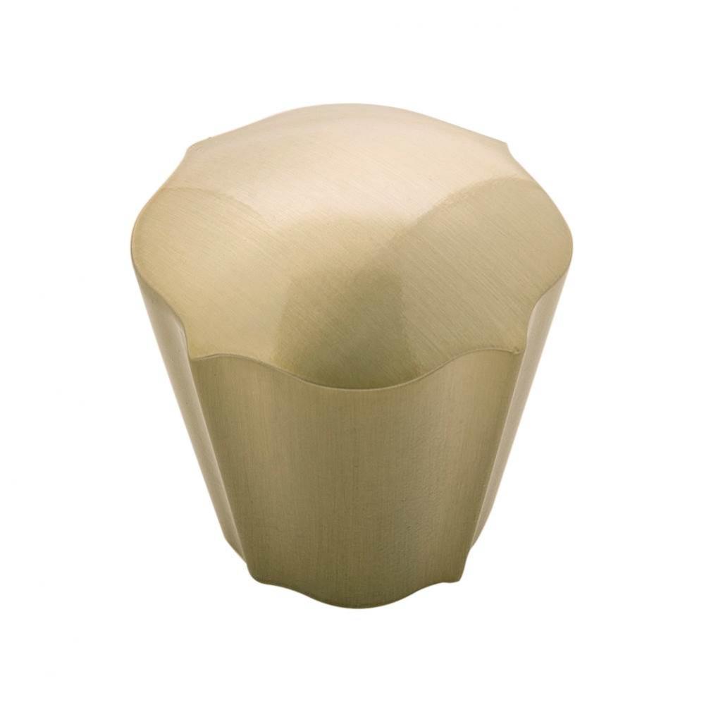 B076138-EGN Hardware Knobs