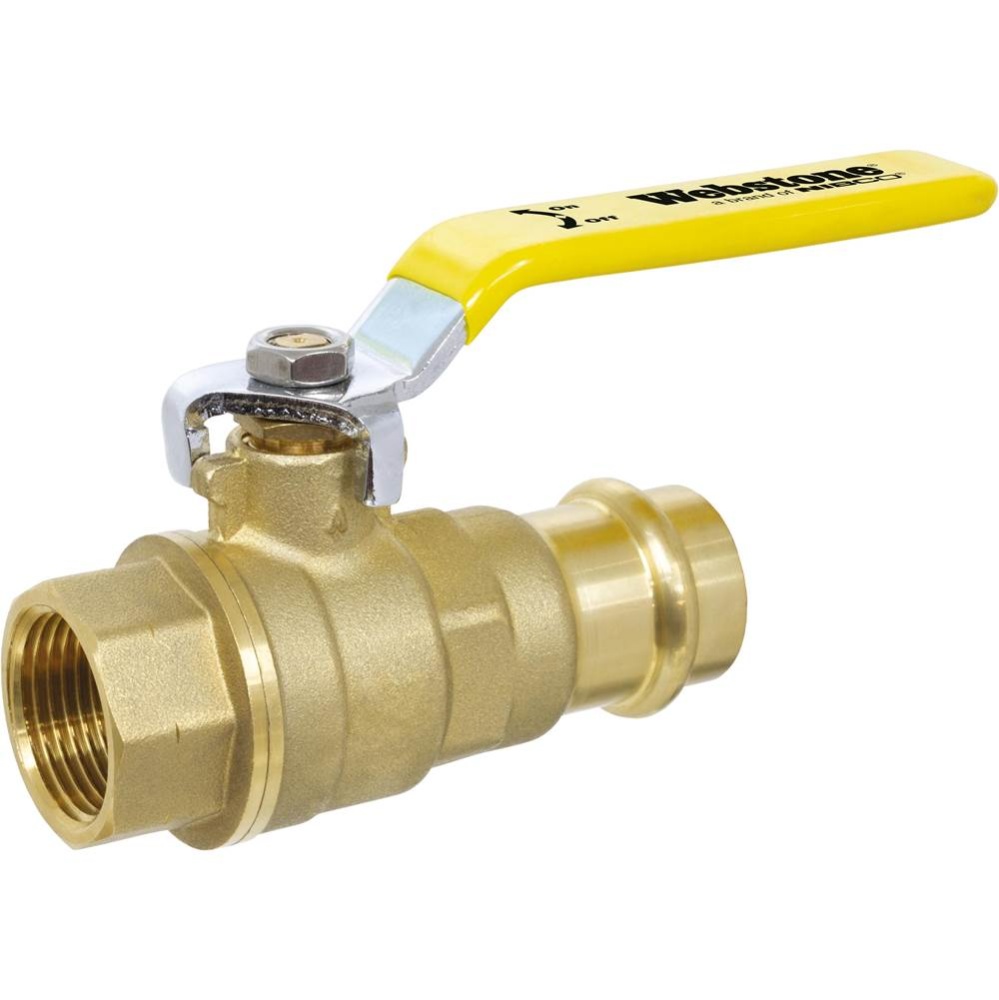 1/2 PRS X FIP LF DZR BR BV