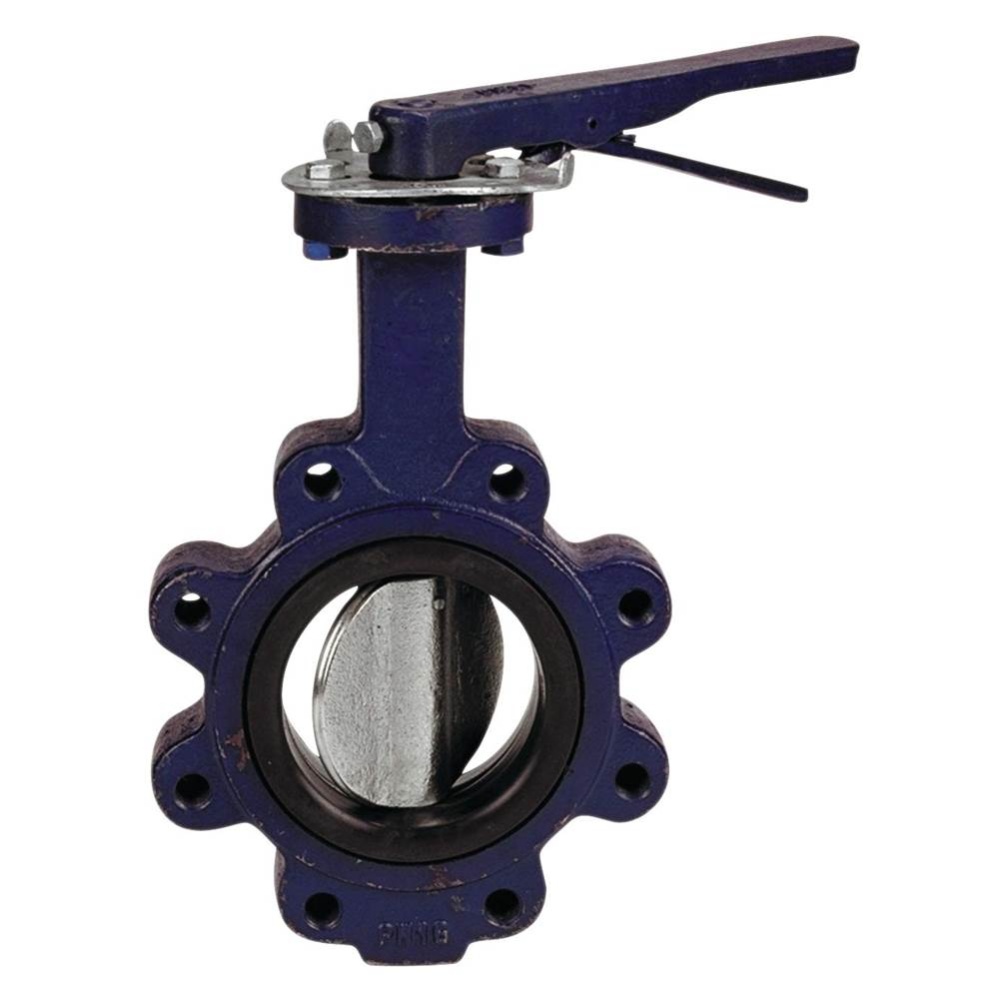 N200246LH 2-1/2 LUG/BUNA/DI BFV W/ LH DE