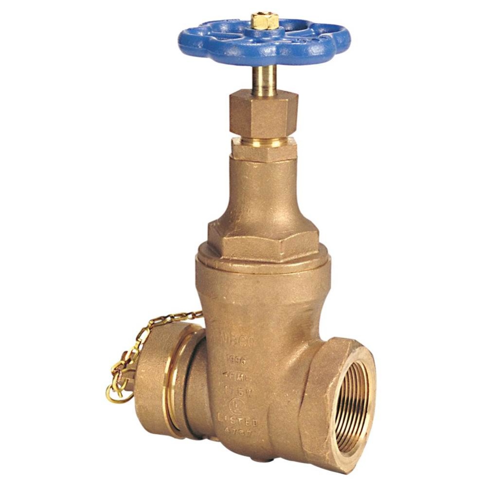 T103Hc 2 1/2 Hose End With Cap