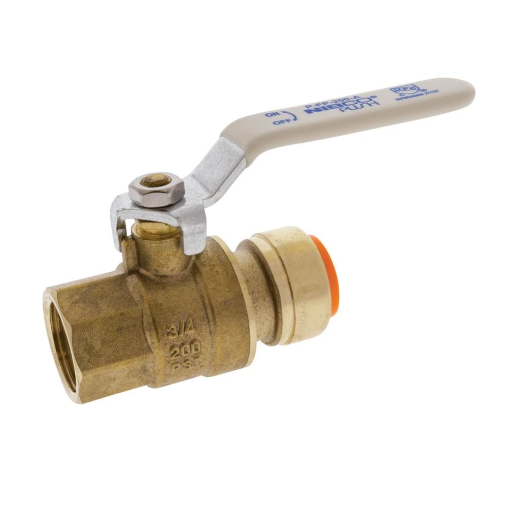 TP-FP-200-LF 3/4 PUSHxFPT BALL VALVE