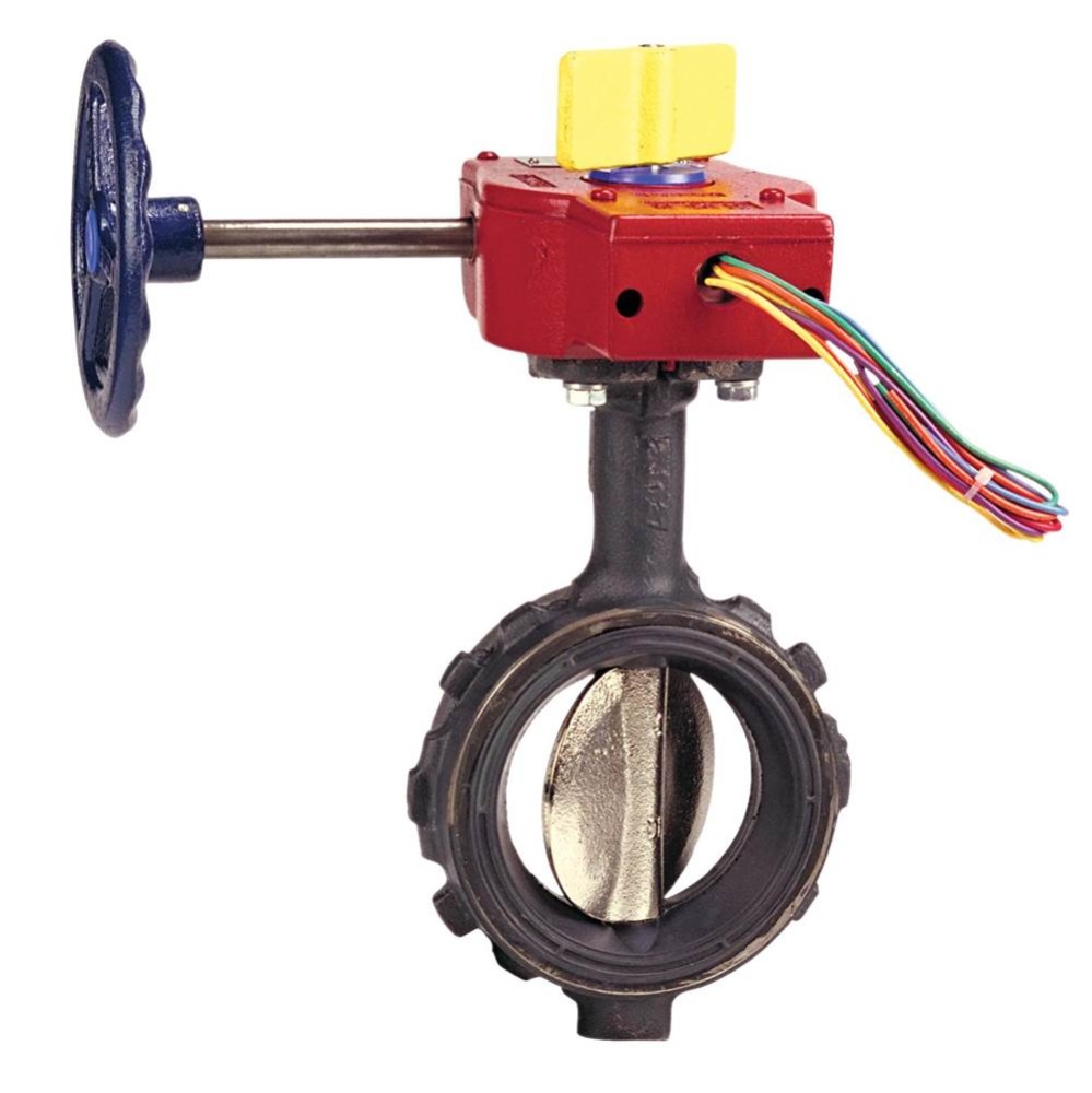 WD35104 2-1/2 UL/FM BFV W/GO