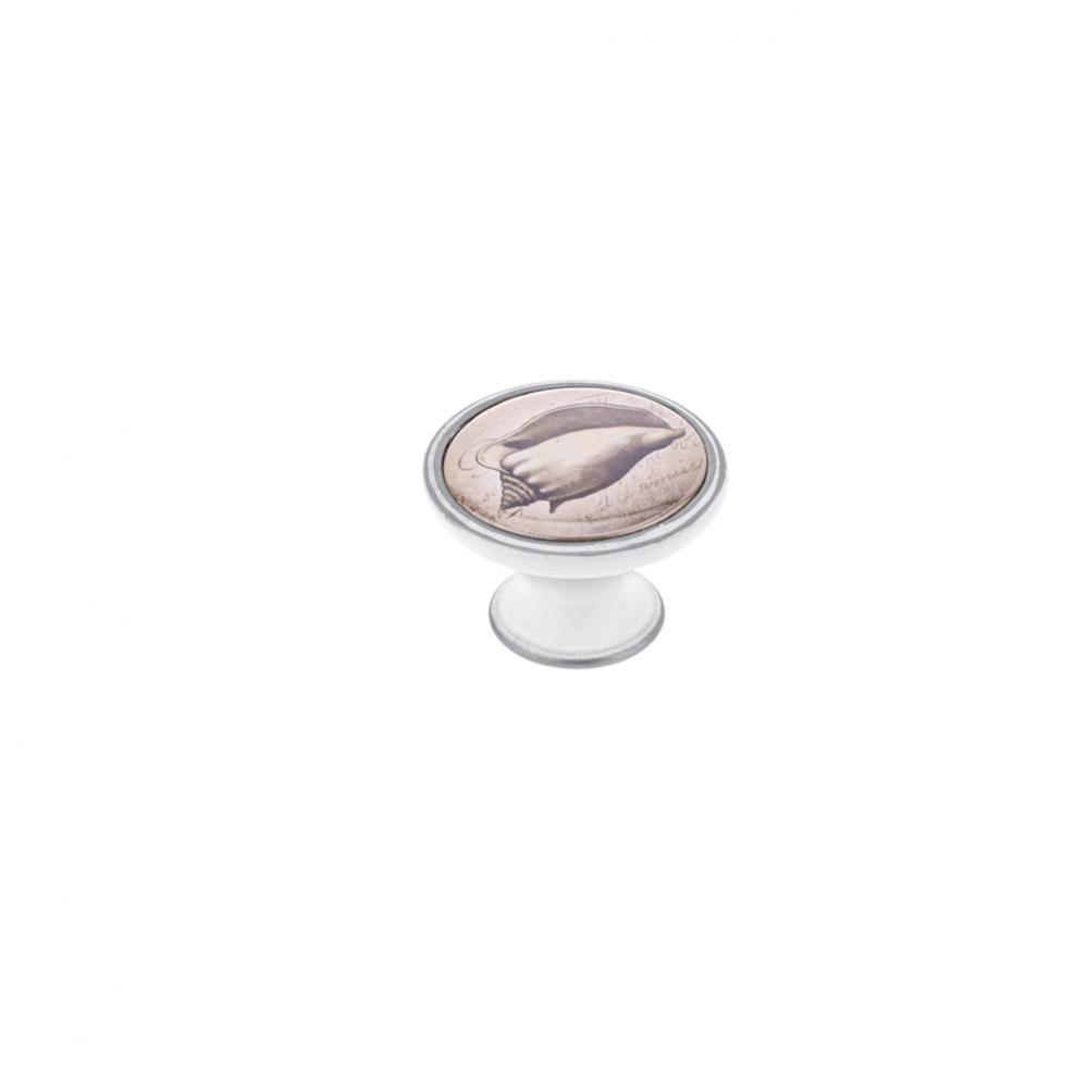 Metal and Plastic Knob - 5514