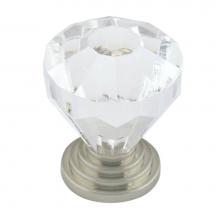 Richelieu America BP1008919511 - Eclectic Acrylic and Metal Knob - 10089