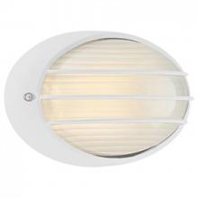 Access Lighting 20280LEDDMG-WH/OPL - Outdoor LED Bulkhead