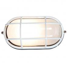 Access Lighting 20292LEDDLP-WH/FST - 1 Light Outdoor LED Bulkhead