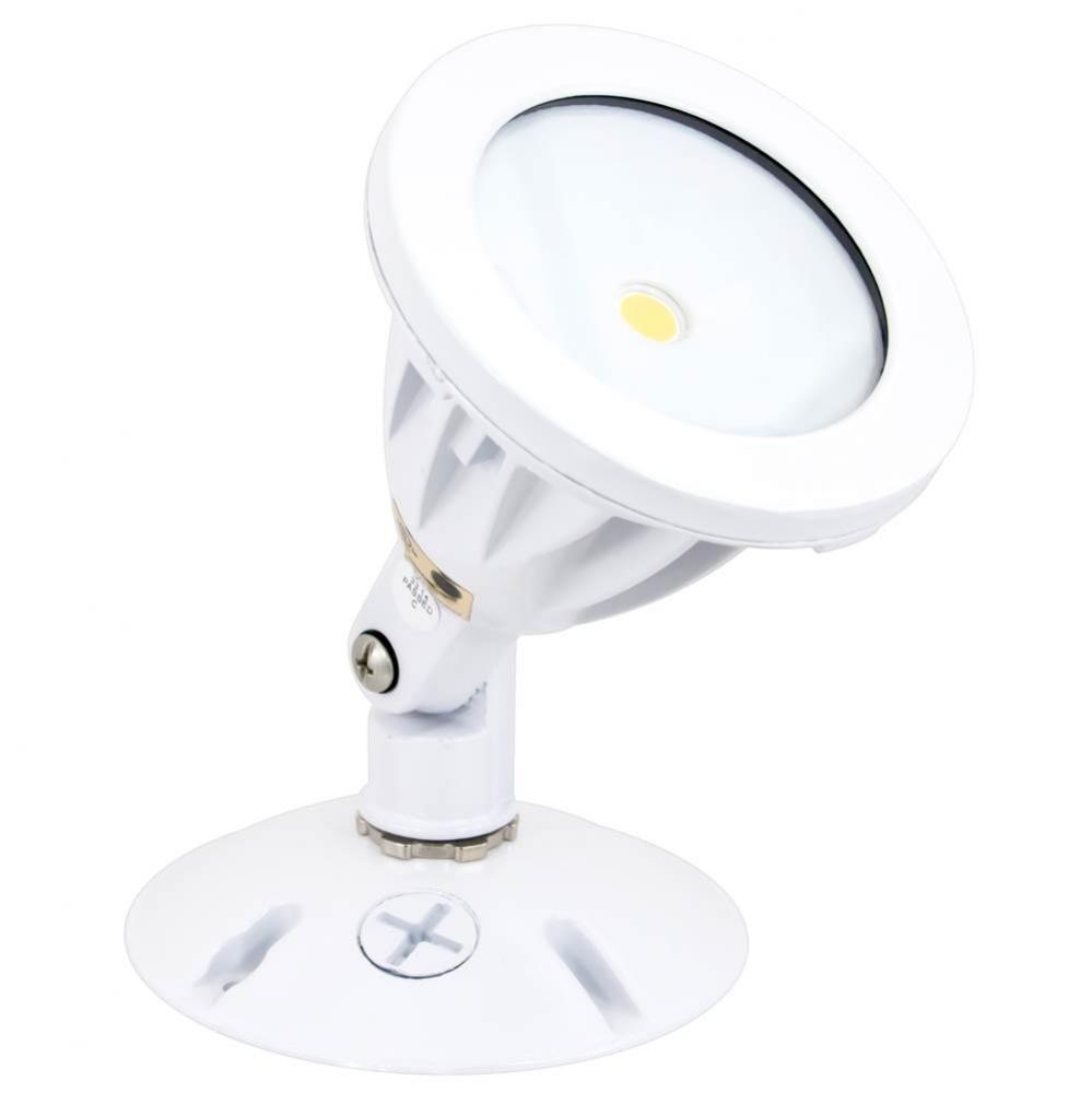 Single Head COB Flood Light, 8.3 Watts, White