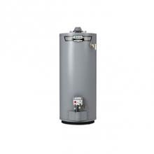 AO Smith 100327851 - ProLine 40-Gallon Atmospheric Vent Short Liquid Propane Water Heater