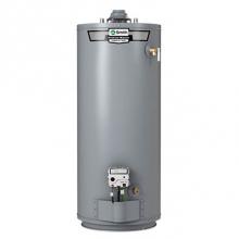 AO Smith 100284765 - 40 gal Short LP 40kBTU 0-10.1k FT CAT-I RM KA90-1A ST and P 150PS