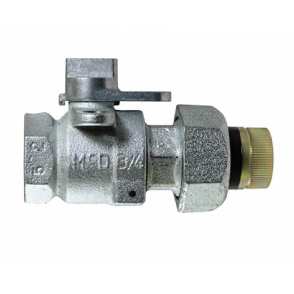 8276G 1 ZINC GAS BV FNPTxINS FNPT 175 lb