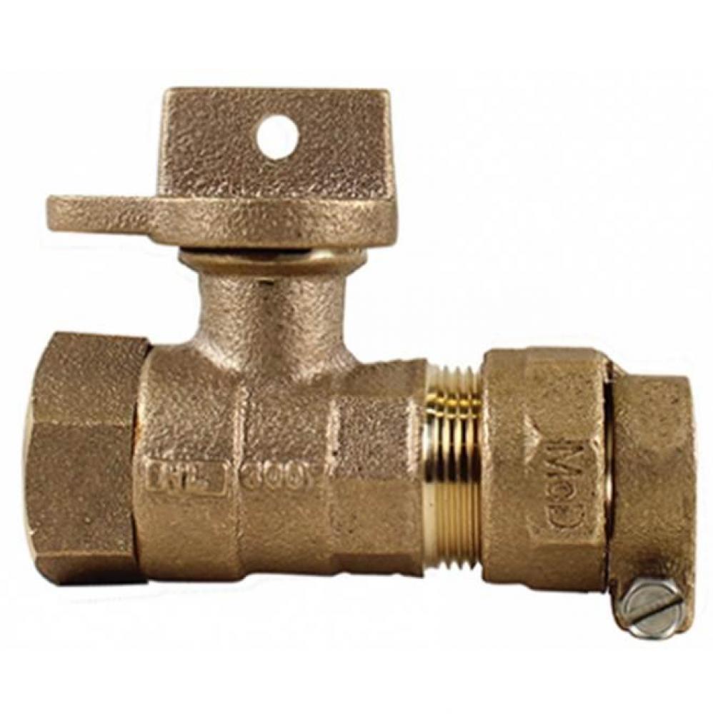 76102W-22 1X5.00 BALL VALVE CTSxFNPT - NL