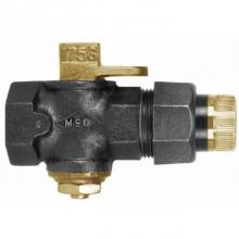 AY McDonald 4811-016 - 6276B 2 BLK GAS PV FNPTxINS FNPT 175#