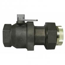 AY McDonald 4816-119 - 8276B 3/4 BLK GAS BV FNPTxINS FNPT 175 lb