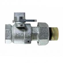 AY McDonald 4816-120 - 8276G 3/4 ZINC GAS BV FNPTxINS FNPT 175 lb